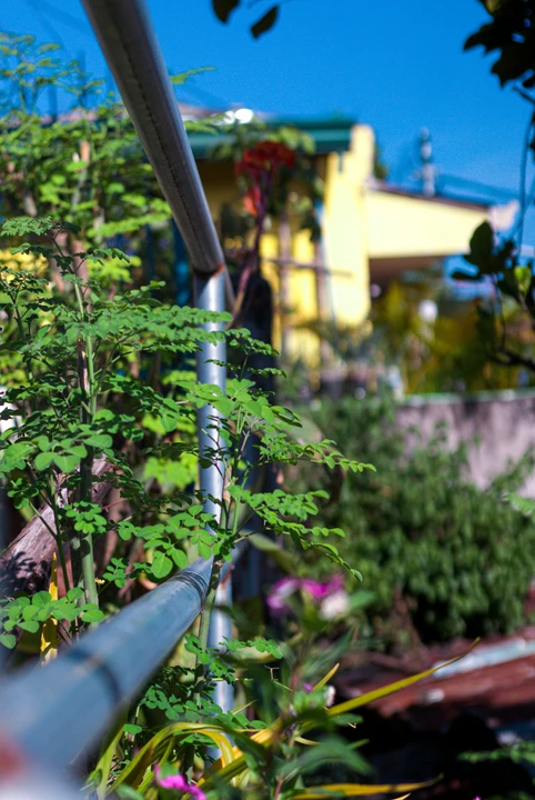 Sustainable Practices